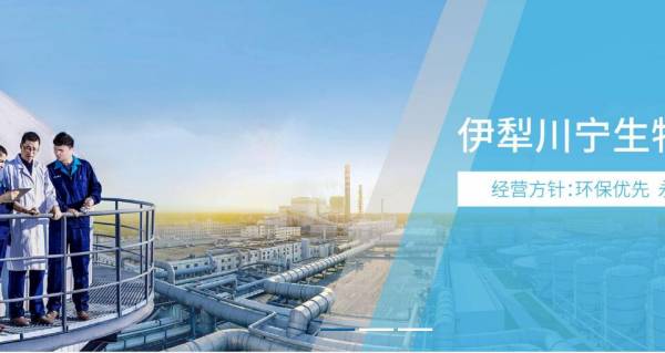 伊犁宁生物技术股份网络营销整合与节能产品技术开发双轮驱动